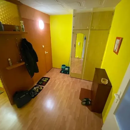 2+1 Lejlighed Jáchymov